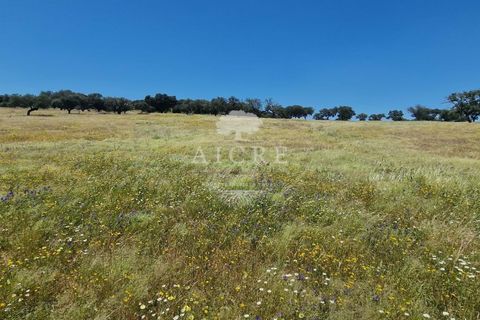 Farm i Elvas, Portalegre, Elvas - € 1.250.000 | Ref: 3122025EM - foto 8