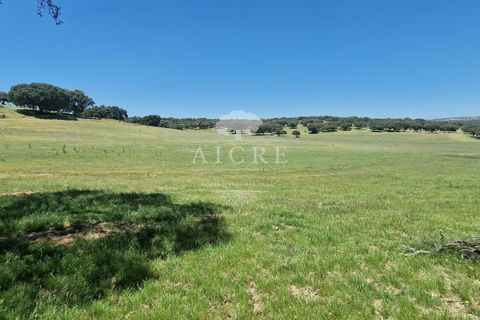 Farm i Elvas, Portalegre, Elvas - € 1.250.000 | Ref: 3122025EM - foto 9