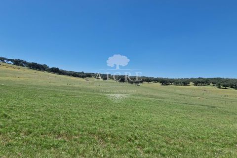 Farm i Elvas, Portalegre, Elvas - € 1.250.000 | Ref: 3122025EM - foto 10