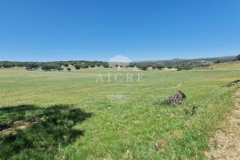 Farm i Elvas, Portalegre, Elvas - € 1.250.000 | Ref: 3122025EM - foto 11