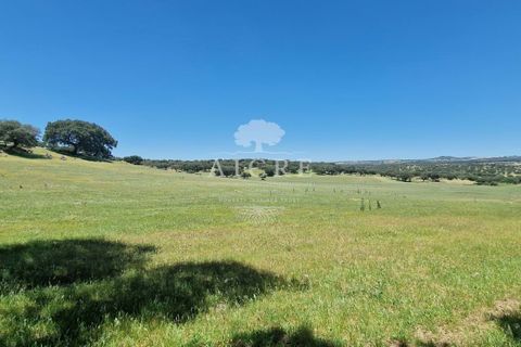 Farm i Elvas, Portalegre, Elvas - € 1.250.000 | Ref: 3122025EM - foto 12
