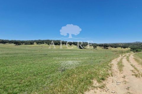 Farm i Elvas, Portalegre, Elvas - € 1.250.000 | Ref: 3122025EM - foto 14