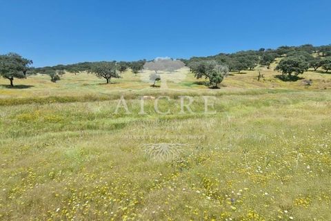 Farm i Elvas, Portalegre, Elvas - € 1.250.000 | Ref: 3122025EM - foto 16