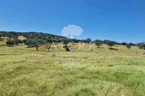 Farm i Elvas, Portalegre, Elvas - € 1.250.000 | Ref: 3122025EM - foto 17