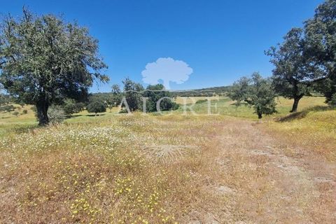 Farm i Elvas, Portalegre, Elvas - € 1.250.000 | Ref: 3122025EM - foto 19