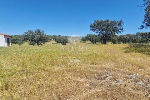 Farm i Elvas, Portalegre, Elvas - € 1.250.000 | Ref: 3122025EM - foto 20