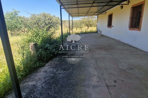 Farm i Elvas, Portalegre, Elvas - € 1.250.000 | Ref: 3122025EM - foto 21