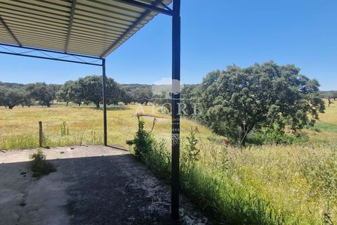 Farm i Elvas, Portalegre, Elvas - € 1.250.000 | Ref: 3122025EM - foto 22