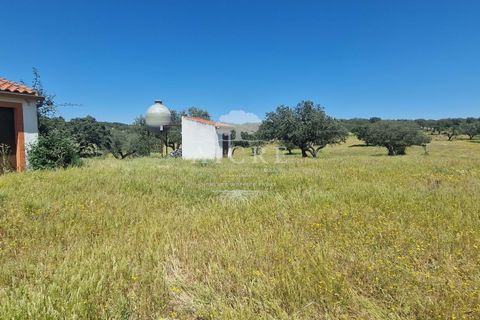 Farm i Elvas, Portalegre, Elvas - € 1.250.000 | Ref: 3122025EM - foto 23