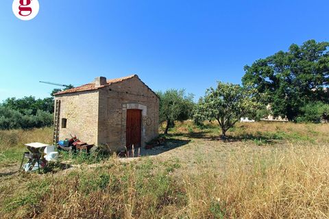 Terra a Vasto, Chieti, Vasto - € 95.000 | Ref: IM202535 - foto 2