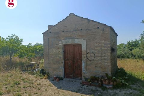 Terra a Vasto, Chieti, Vasto - € 95.000 | Ref: IM202535 - foto 3