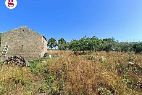 Terra a Vasto, Chieti, Vasto - € 95.000 | Ref: IM202535 - foto 4