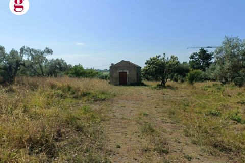 Terra a Vasto, Chieti, Vasto - € 95.000 | Ref: IM202535 - foto 6