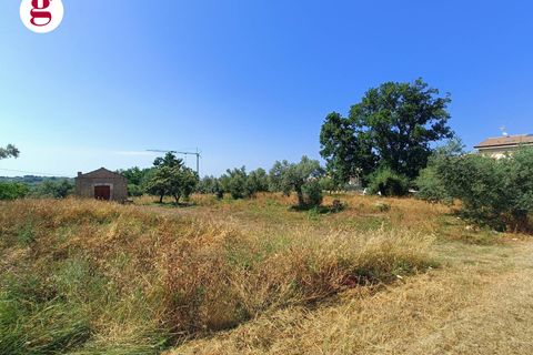 Terra a Vasto, Chieti, Vasto - € 95.000 | Ref: IM202535 - foto 7