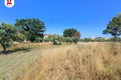 Terra a Vasto, Chieti, Vasto - € 95.000 | Ref: IM202535 - foto 8