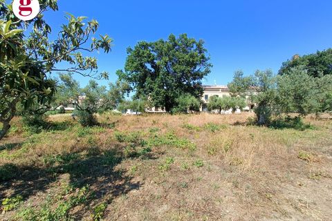 Terra a Vasto, Chieti, Vasto - € 95.000 | Ref: IM202535 - foto 9