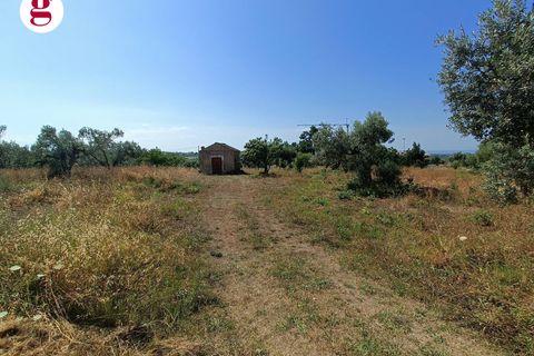 Terra a Vasto, Chieti, Vasto - € 95.000 | Ref: IM202535 - foto 10