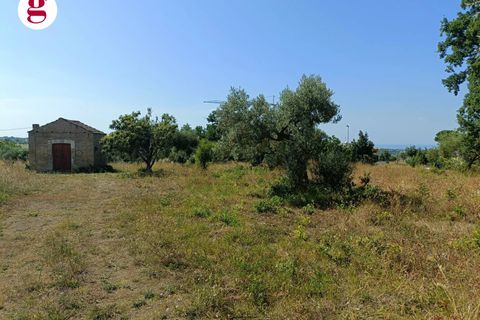Terra a Vasto, Chieti, Vasto - € 95.000 | Ref: IM202535 - foto 11