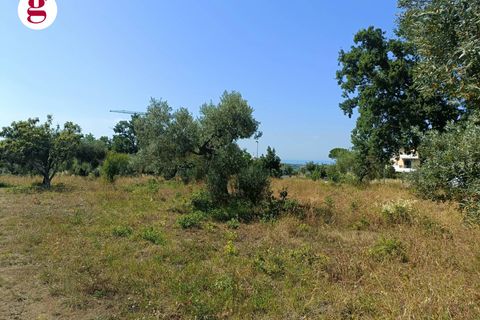 Terra a Vasto, Chieti, Vasto - € 95.000 | Ref: IM202535 - foto 12