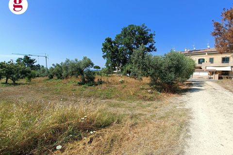 Terra a Vasto, Chieti, Vasto - € 95.000 | Ref: IM202535 - foto 13