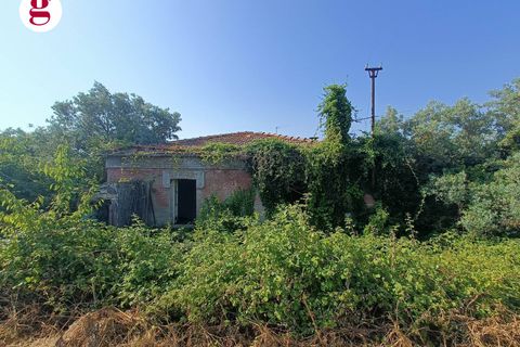 Villa a Vasto, Chieti, Vasto - € 199.000 | Ref: IM202536 - foto 3