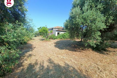Villa a Vasto, Chieti, Vasto - € 199.000 | Ref: IM202536 - foto 5