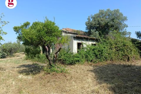Villa a Vasto, Chieti, Vasto - € 199.000 | Ref: IM202536 - foto 6