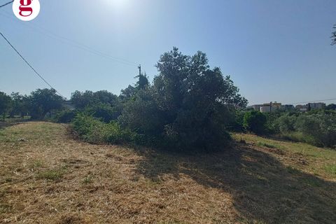 Villa a Vasto, Chieti, Vasto - € 199.000 | Ref: IM202536 - foto 7