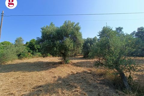 Villa a Vasto, Chieti, Vasto - € 199.000 | Ref: IM202536 - foto 8
