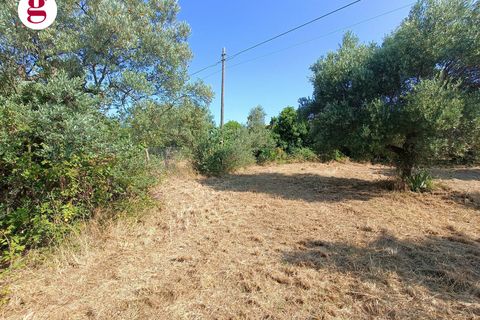 Villa a Vasto, Chieti, Vasto - € 199.000 | Ref: IM202536 - foto 9
