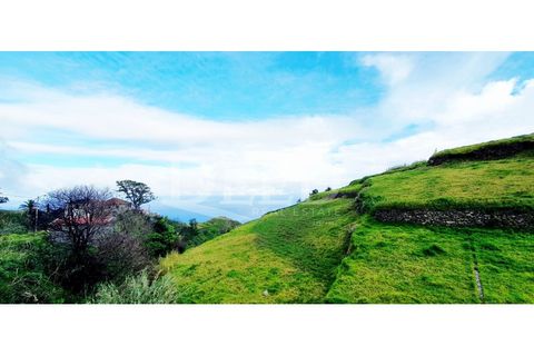 Villa i Ponta do Pargo, Madeira, Ponta do Pargo - € 650.000 | Ref: DEED/996 - foto 24