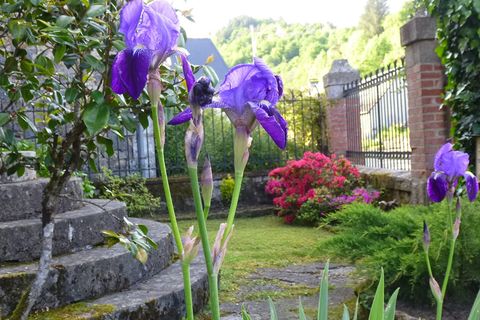 Villa i Saint-Chamant, Correze, Saint-Chamant - € 137.500 | Ref: CC-4808 - foto 4