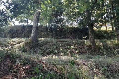 Byhus i Valenca, Viana do Castelo, Valenca - € 76.500 | Ref: 145428 - foto 11