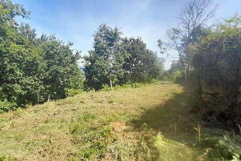 Byhus i Valenca, Viana do Castelo, Valenca - € 76.500 | Ref: 145428 - foto 30