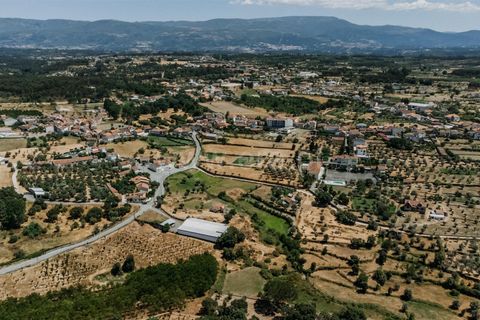 Terra a Seia, Guarda, Seia - € 80.000 | Ref: 382250068 - foto 2