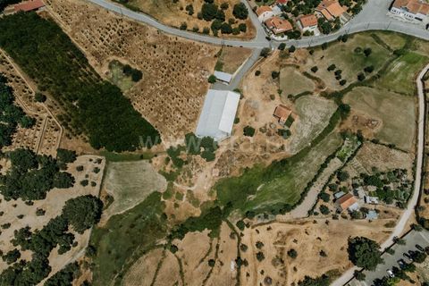 Terra a Seia, Guarda, Seia - € 80.000 | Ref: 382250068 - foto 3