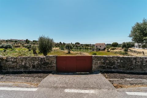 Terra a Seia, Guarda, Seia - € 80.000 | Ref: 382250068 - foto 4