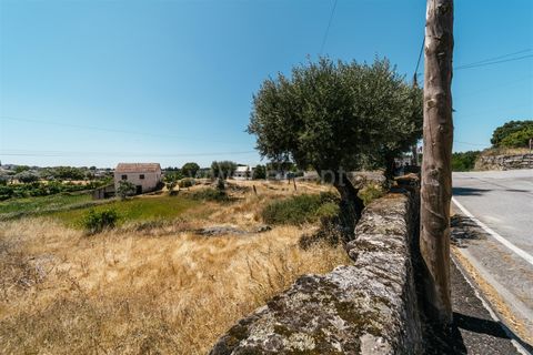 Terra a Seia, Guarda, Seia - € 80.000 | Ref: 382250068 - foto 6