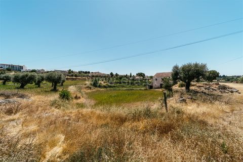 Terra a Seia, Guarda, Seia - € 80.000 | Ref: 382250068 - foto 7