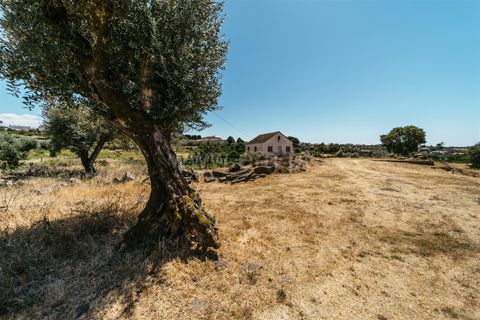 Terra a Seia, Guarda, Seia - € 80.000 | Ref: 382250068 - foto 8