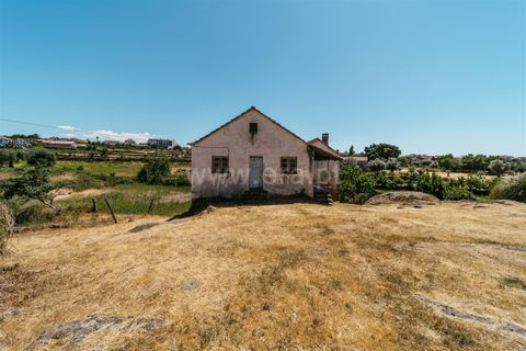 Terra a Seia, Guarda, Seia - € 80.000 | Ref: 382250068 - foto 9