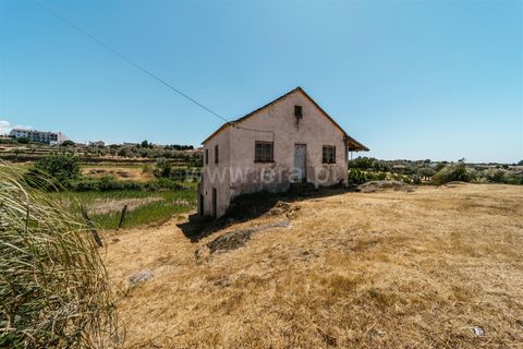 Terra a Seia, Guarda, Seia - € 80.000 | Ref: 382250068 - foto 10