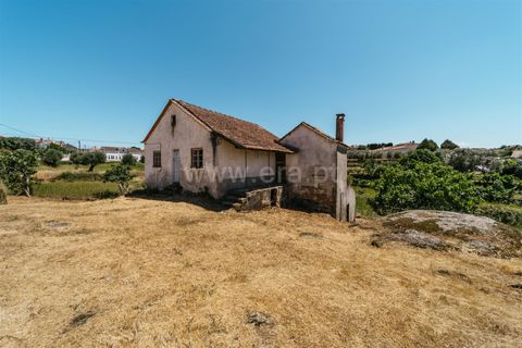 Terra a Seia, Guarda, Seia - € 80.000 | Ref: 382250068 - foto 11