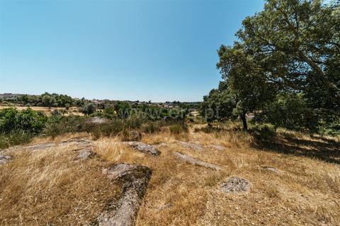 Terra a Seia, Guarda, Seia - € 80.000 | Ref: 382250068 - foto 12