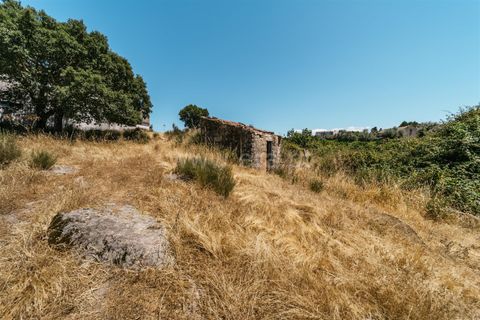 Terra a Seia, Guarda, Seia - € 80.000 | Ref: 382250068 - foto 13