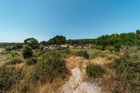 Terra a Seia, Guarda, Seia - € 80.000 | Ref: 382250068 - foto 14