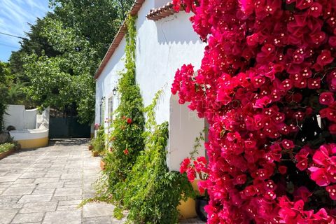 Villa i Bombarral, Leiria, Bombarral - € 797.000 | Ref: SS_0033 - foto 10