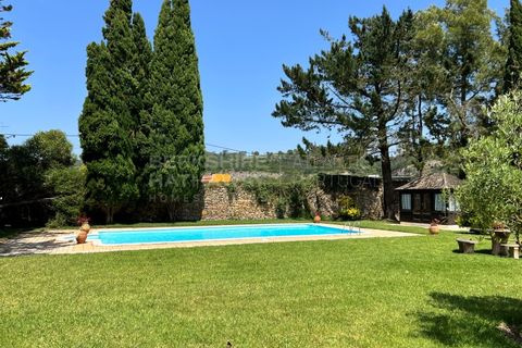 Villa i Bombarral, Leiria, Bombarral - € 797.000 | Ref: SS_0033 - foto 45