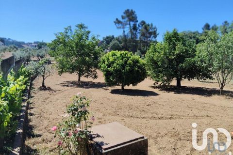 Helårsgrund i Serta, Castelo Branco, Serta - € 35.000 | Ref: 653004 - foto 9