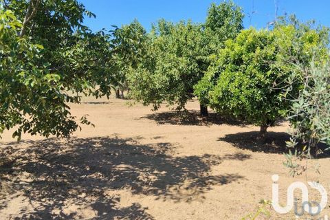 Helårsgrund i Serta, Castelo Branco, Serta - € 35.000 | Ref: 653004 - foto 7